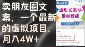 卖朋友圈文案，一个最新的虚拟项目，月入4W+（教程+素材）-花猫轻创业