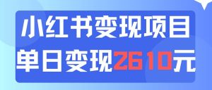 利用小红书卖资料单日引流150人当日变现2610元小白可实操（教程+资料）-花猫轻创业