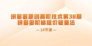 拼多多原创高阶技术第38期，拼多多阶梯提价破量法（14节课）-花猫轻创业