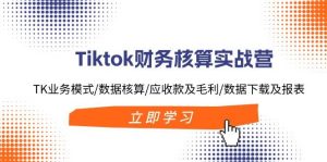 Tiktok财务核算实战营：TK业务模式/数据核算/应收款及毛利/数据下载及报表-花猫轻创业
