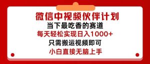 微信中视频伙伴计划,仅靠搬运就能轻松实现日入500+,关键操作还简单,...-花猫轻创业
