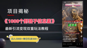 抖音一千个野路子信息差最新玩法教程-变现＋引流的玩法具体拆解-花猫轻创业