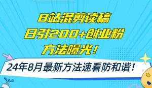 B站混剪读稿日引200+创业粉方法4.0曝光,24年8月最新方法Ai一键操作 速...-花猫轻创业