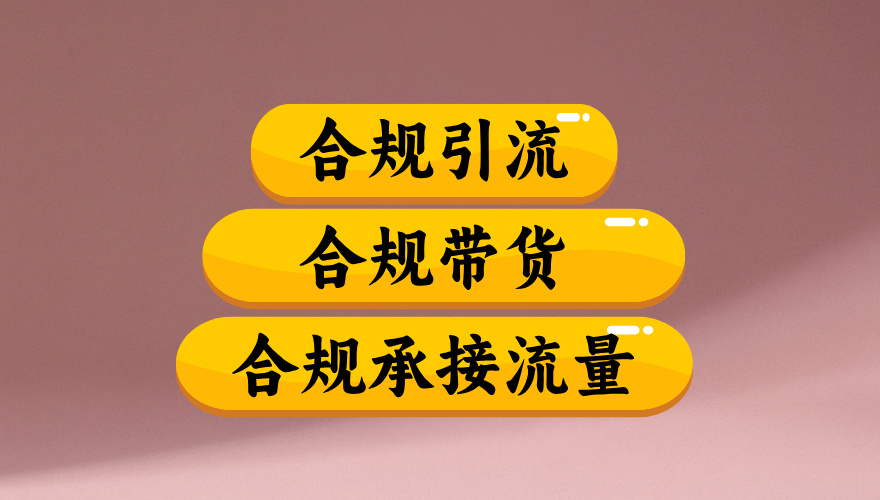 合规引流、合规并且高效地做带货、合规承接流量（揭秘）-花猫轻创业